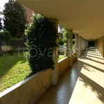 Rent 2 bedroom apartment of 45 m² in San Fermo della Battaglia