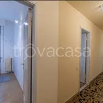 Rent 5 bedroom apartment of 122 m² in Lucca