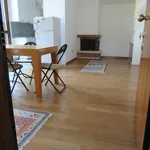 Rent 1 bedroom apartment of 50 m² in Treviso