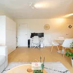 Rent 1 bedroom apartment of 40 m² in Gent