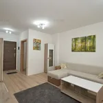 Rent 2 bedroom apartment of 53 m² in Timisoara