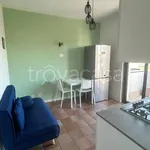 Affitto 2 camera appartamento di 45 m² in Nettuno