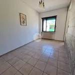 Rent 3 bedroom apartment of 85 m² in San Benigno Canavese