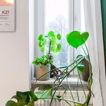 Miete 1 Schlafzimmer wohnung von 60 m² in Berlin