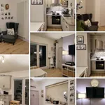 Rent 1 bedroom apartment of 50 m² in dublin