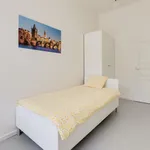 Rent 5 bedroom apartment in Prague