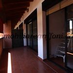 Rent 4 bedroom apartment of 100 m² in Bologna