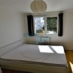 Rent 1 bedroom apartment in Toulouse