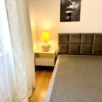 Rent 2 bedroom apartment of 39 m² in Łódź