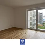 Rent 4 bedroom apartment of 112 m² in Dresden