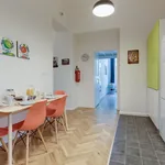 Rent 4 bedroom apartment in Prague