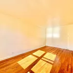 Rent 1 bedroom apartment in Queens