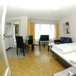 Miete 1 Schlafzimmer wohnung von 377 m² in Zurich