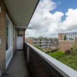 Rent 4 bedroom apartment of 77 m² in Groningen