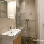 Pronajměte si 2 ložnic/e byt o rozloze 40 m² v Prague