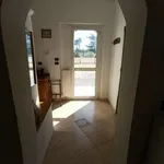 Rent 4 bedroom apartment of 110 m² in Bari