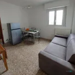 Rent 2 bedroom apartment of 50 m² in Cologno Monzese