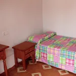 Alquilar 12 dormitorio apartamento en Granada