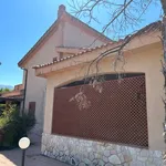 Rent 7 bedroom house of 220 m² in Altavilla Milicia