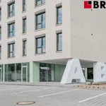 Rent 1 bedroom apartment of 35 m² in Brno