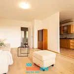 Rent 3 bedroom apartment of 73 m² in Praha