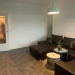 Rent 3 bedroom apartment of 56 m² in Essen