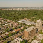  appartement avec 1 chambre(s) en location à Montreal