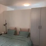 Rent 1 bedroom apartment in Leuven