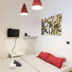 Rent 1 bedroom apartment in rome