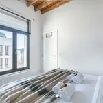  appartement avec 1 chambre(s) en location à Antwerp