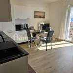 Rent 2 bedroom apartment of 56 m² in Trieste