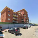 Rent 3 bedroom apartment of 80 m² in Rome