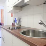 Rent 1 bedroom apartment of 344 m² in vienna