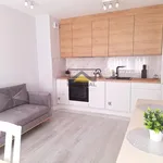 Rent 2 bedroom apartment of 37 m² in Gorzów Wielkopolski