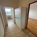 Pronájem bytu 1+1 43m²