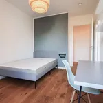 Rent a room in berlin