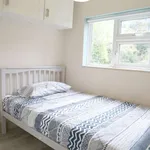 Rent a room in dublin