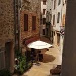 Rent 1 bedroom apartment of 25 m² in VENCE