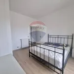 Rent 3 bedroom apartment of 50 m² in Biella