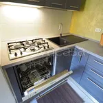 Rent 2 bedroom apartment of 60 m² in Torino