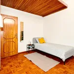 Rent 5 bedroom apartment in Porto