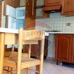 Rent 2 bedroom apartment of 50 m² in Ferrara