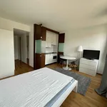 Miete 1 Schlafzimmer wohnung von 30 m² in Geneva