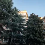 Rent 3 bedroom apartment in Milan