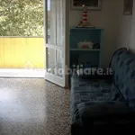 Rent 3 bedroom apartment of 60 m² in Pisa