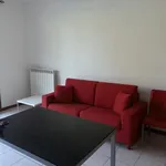 Rent 2 bedroom apartment of 40 m² in Santa Maria a Monte