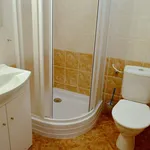 Rent 1 bedroom apartment of 33 m² in Město: