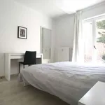 Rent a room in brussels