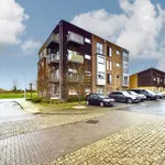 Flat to rent in Star Star Mansions Sympathy Vale, Dartford, Kent DA1