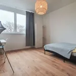 Rent a room in berlin